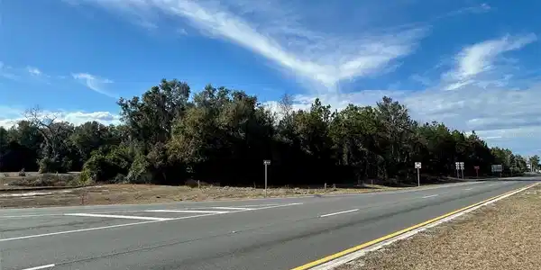 TBD US HWY 19 (N YOUNG BLVD)