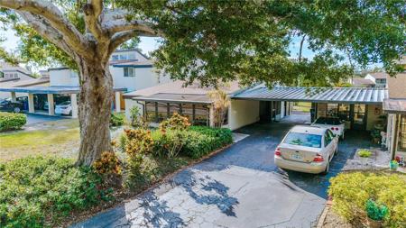 728 WHITE PINE TREE ROAD