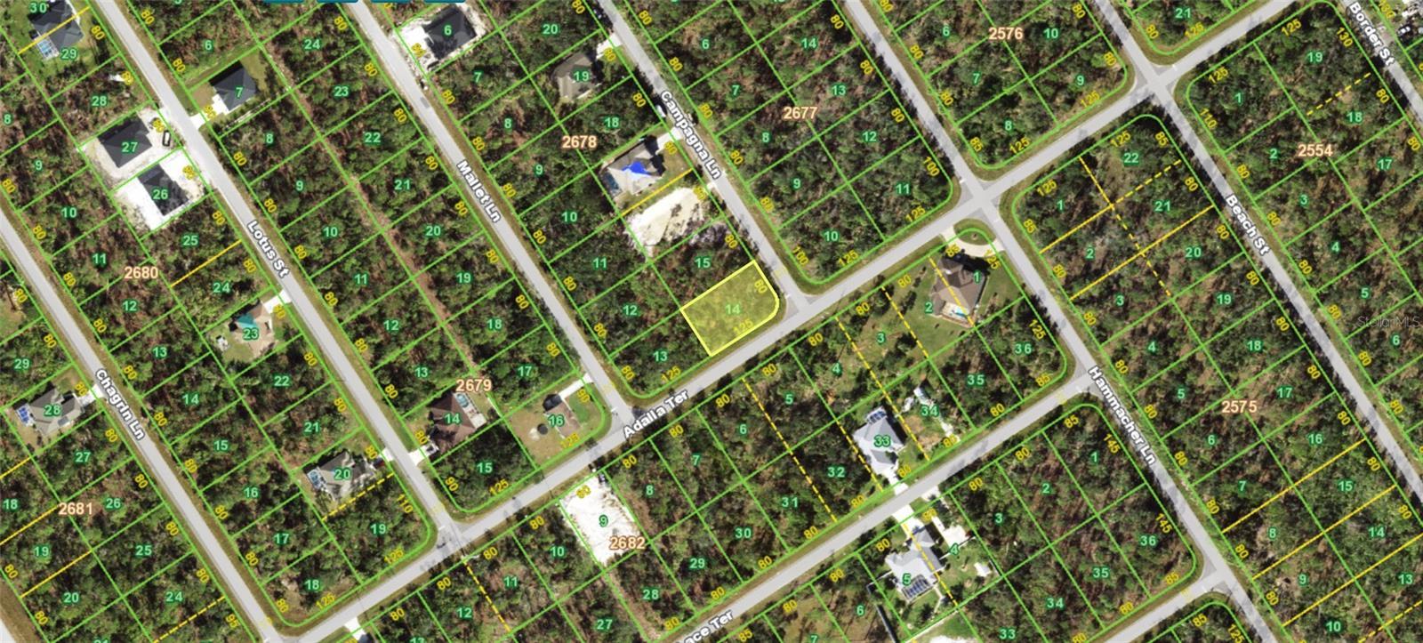 Image 1 Image 1