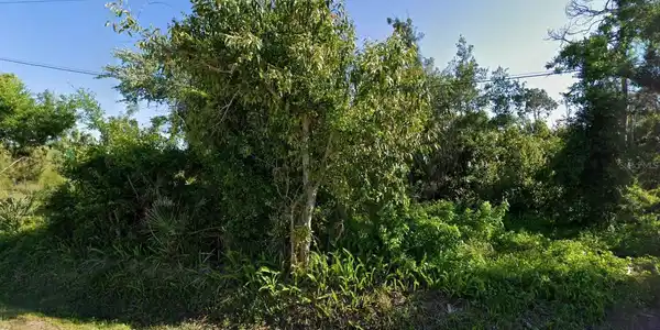 259 W LANGSNER STREET