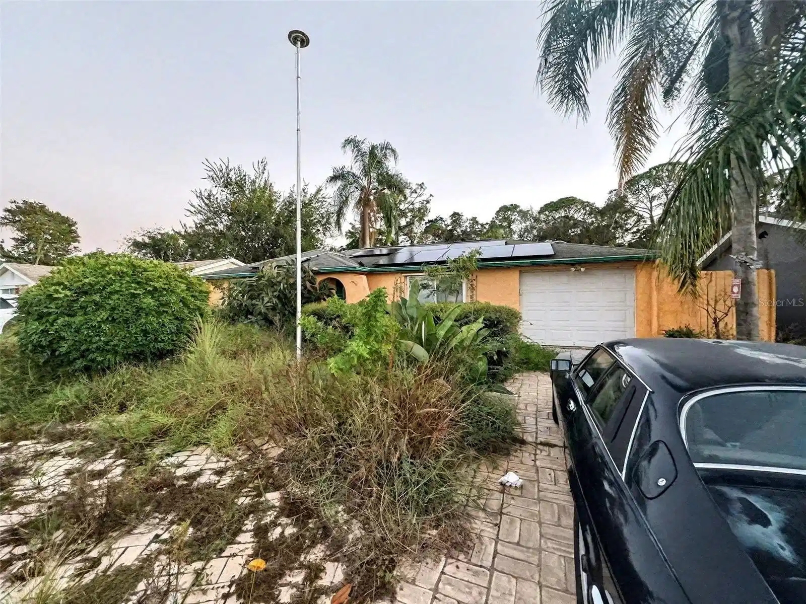 Image 1 Image 1