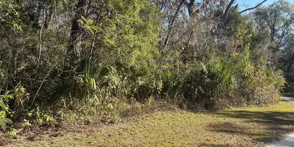 399 S DEW PLANT POINT