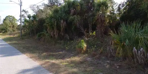 DELIGHT AVENUE
