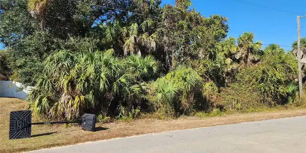 ANDY ROAD