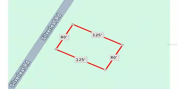 Image 4 Image 4