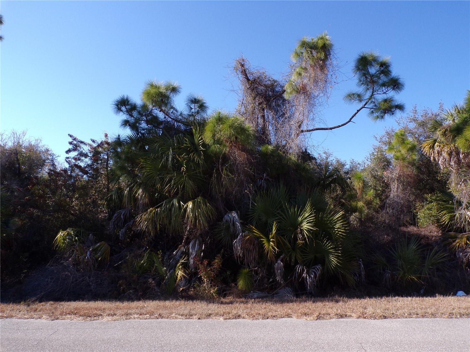 Image 1 Image 1