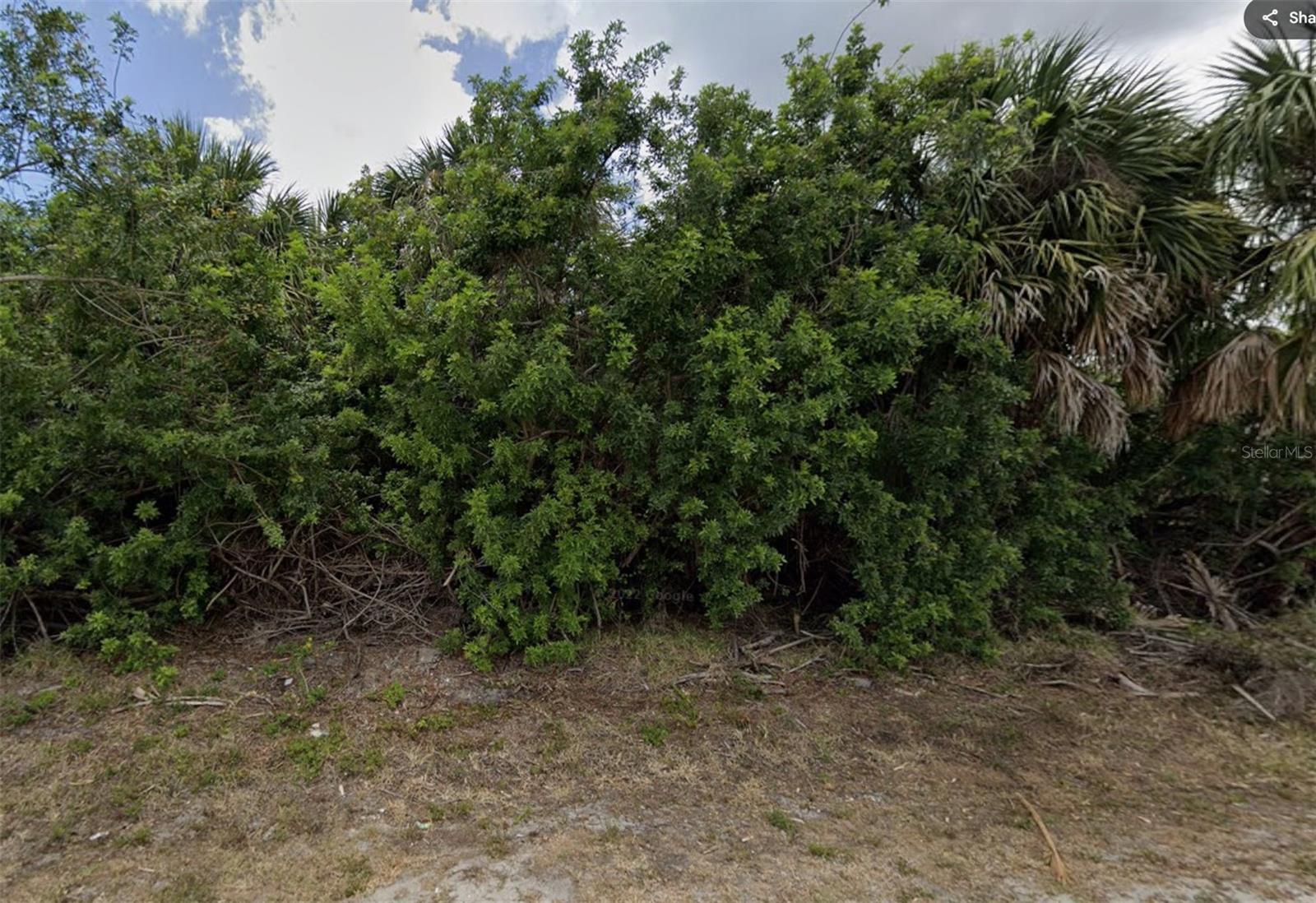 Image 4 Image 4