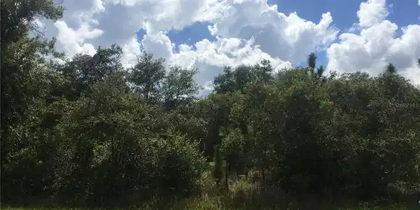 Image 4 Image 4
