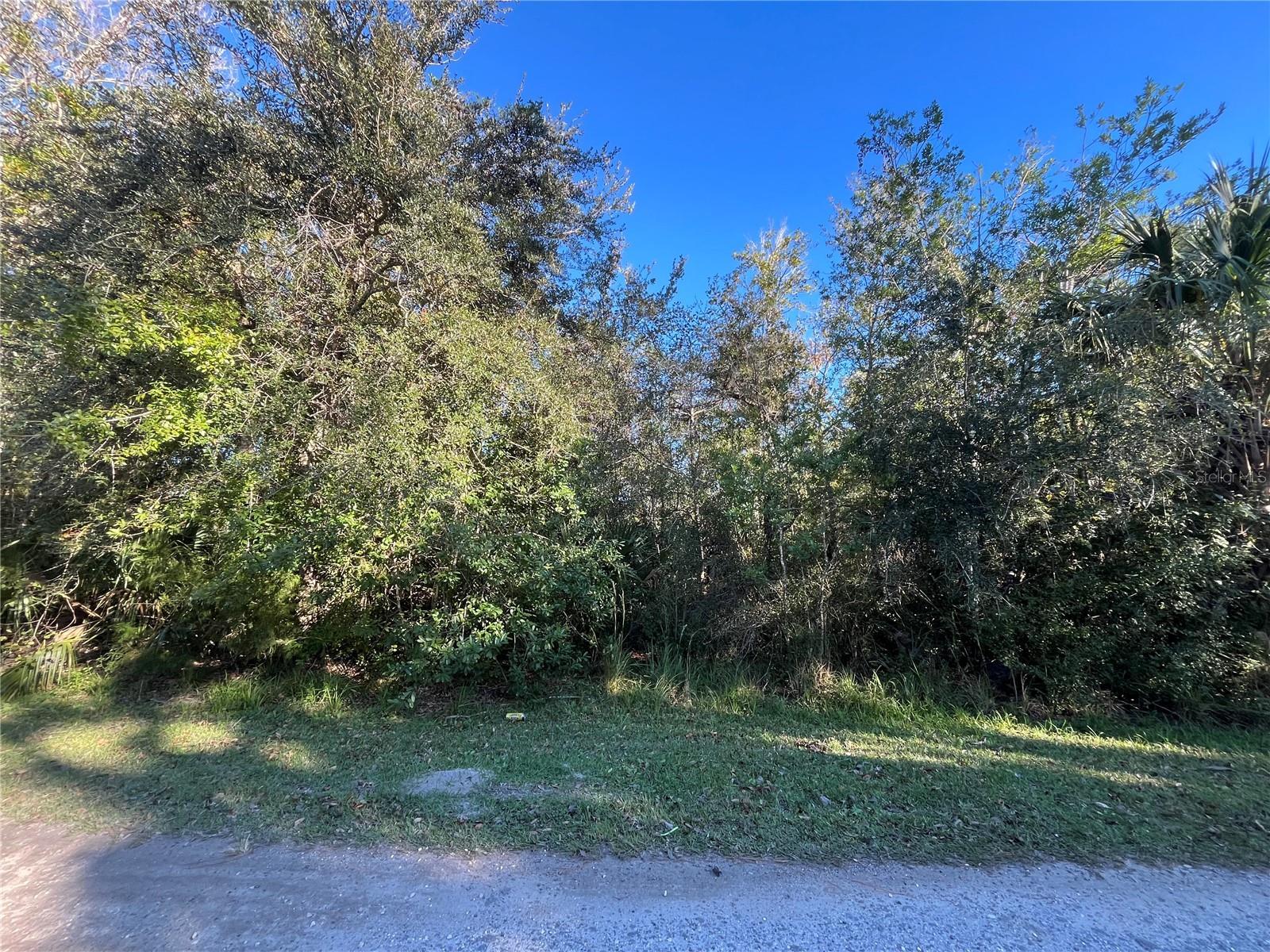 Image 1 Image 1