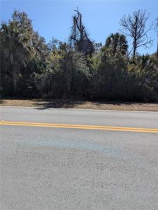 Lots 1,2&3 DE LEON DRIVE