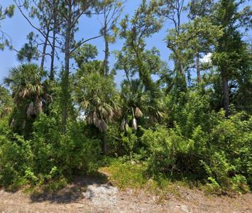 10046 FLAT RIVER STREET