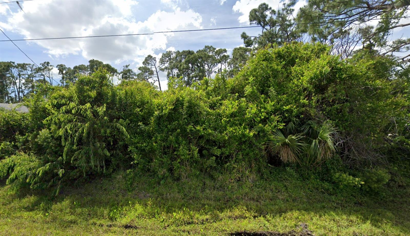 Image 4 Image 4