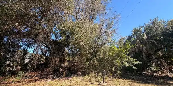 Image 4 Image 4