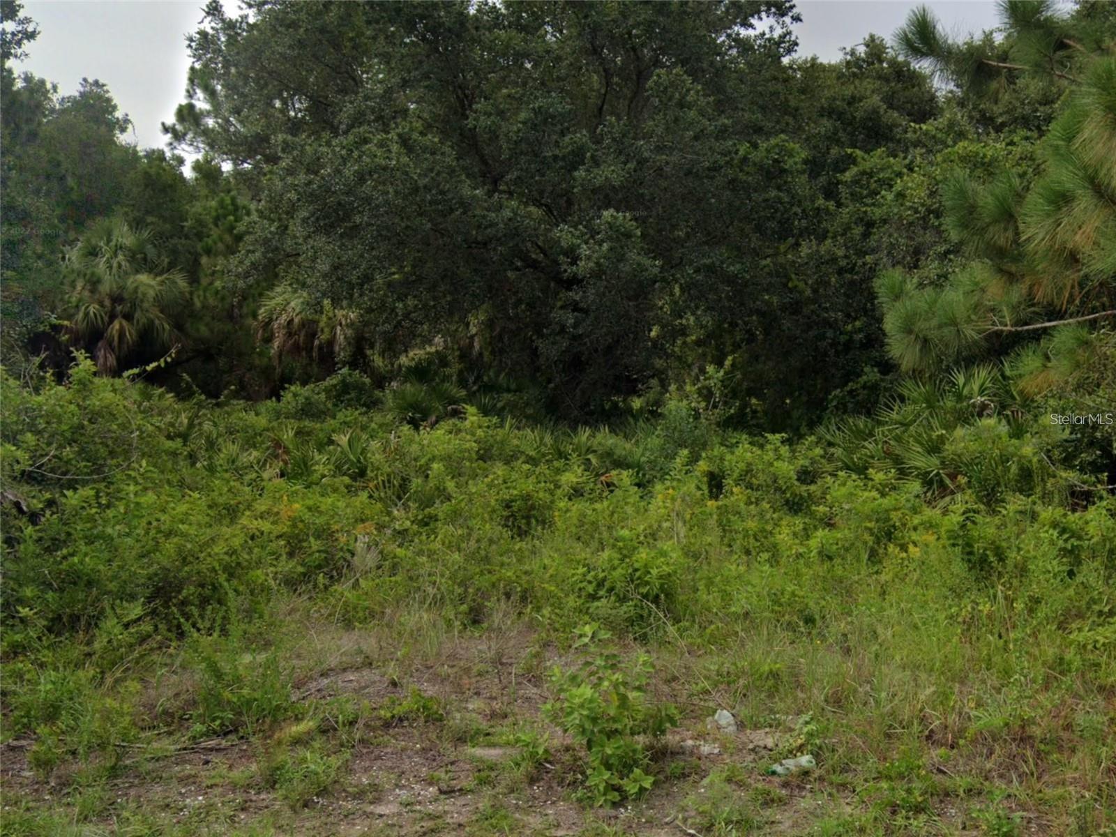 Image 3 Image 3