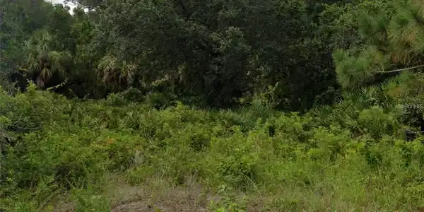 Image 3 Image 3