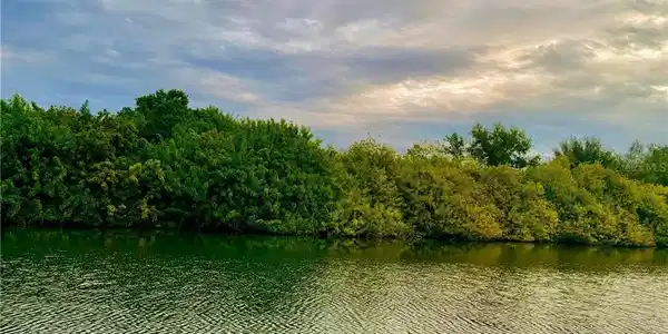 Lot 1511 JACKSON DRIVE