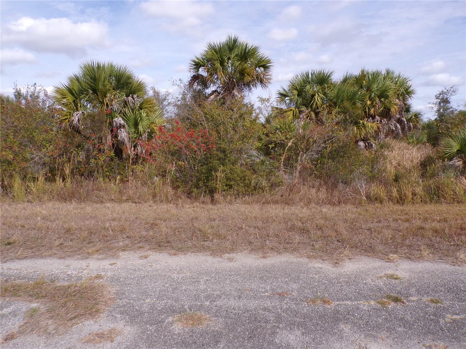 Image 1 Image 1
