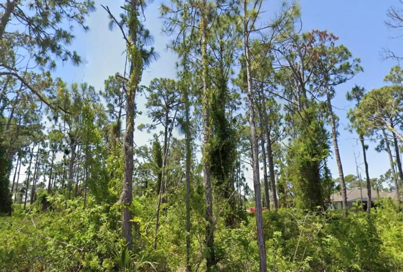Image 1 Image 1