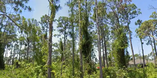 14209 NAYLOR AVENUE