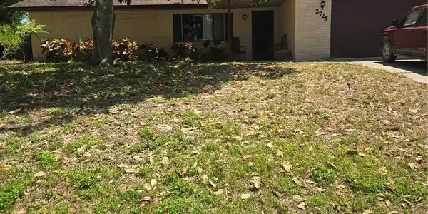 2725 TRAVELERS PALM DRIVE