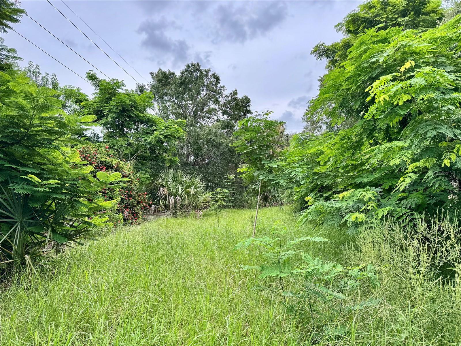 Image 4 Image 4