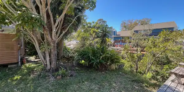 Image 4 Image 4