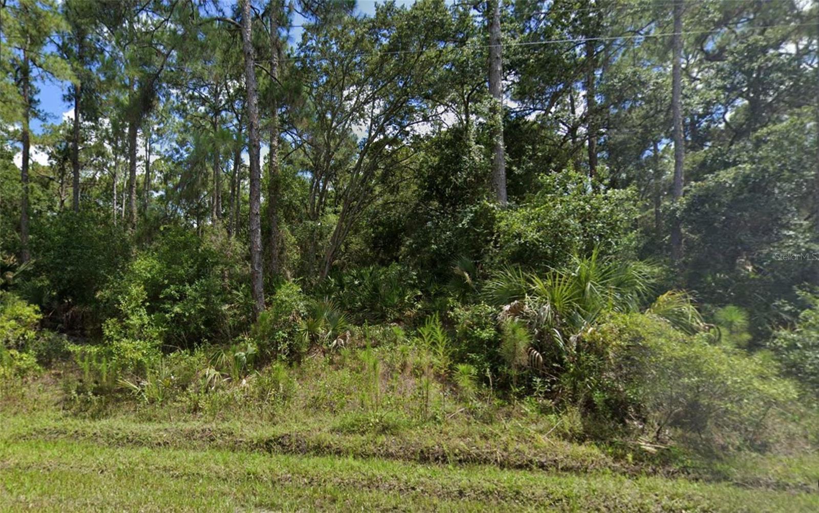 Image 4 Image 4