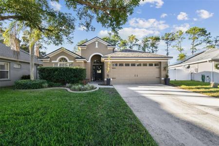 2749 BIG PINE DRIVE