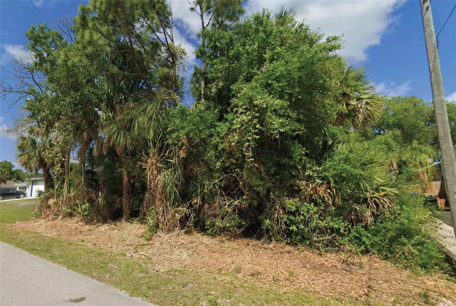 Image 1 Image 1
