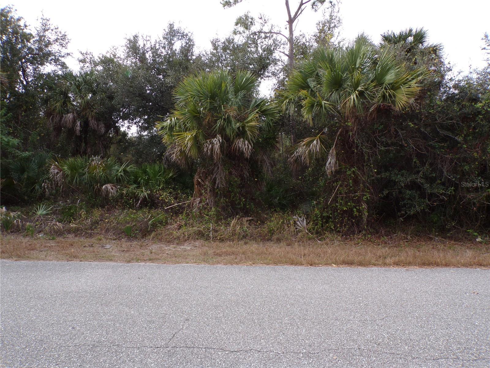 Image 1 Image 1