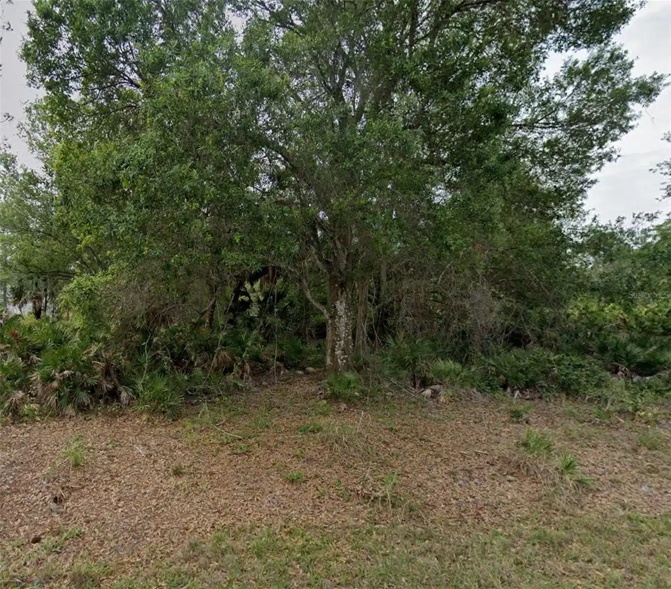 Image 1 Image 1