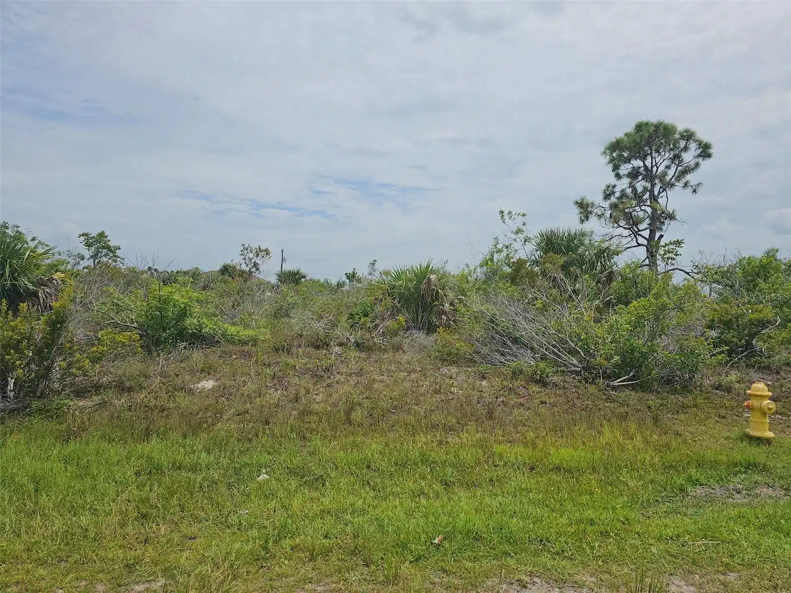 Image 1 Image 1