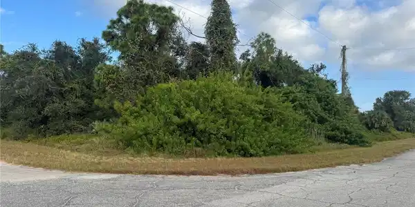 Image 4 Image 4