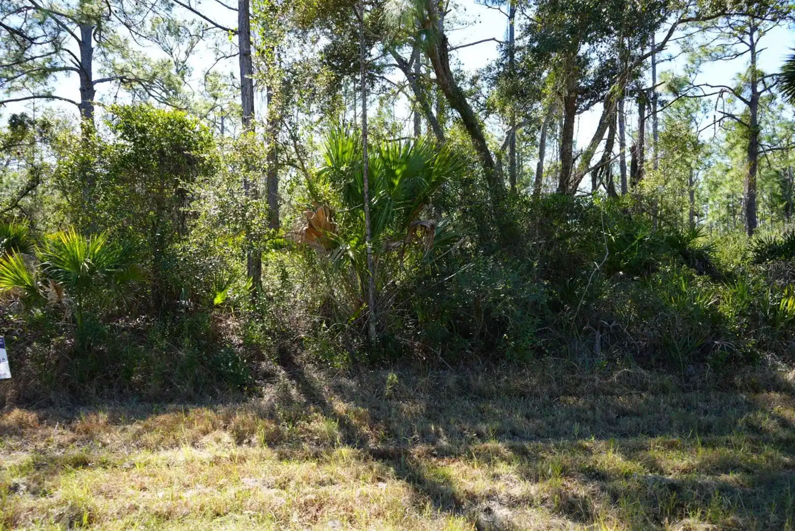 Image 1 Image 1