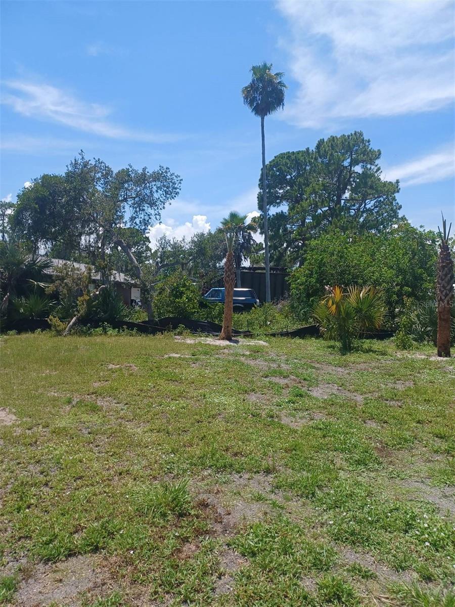 Image 4 Image 4