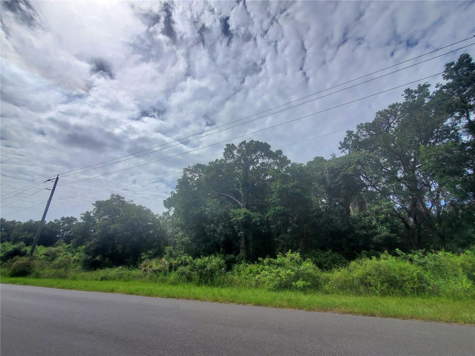 Image 4 Image 4