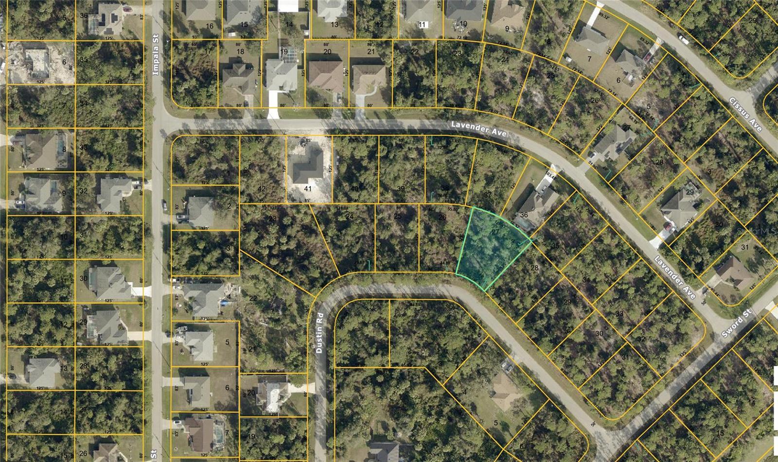 Image 1 Image 1
