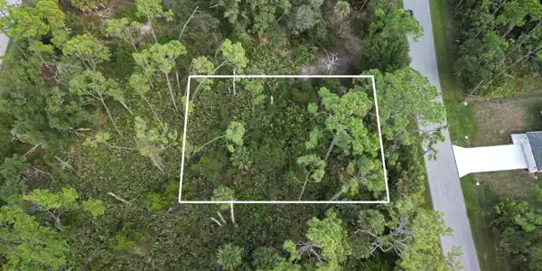 Image 2 Image 2
