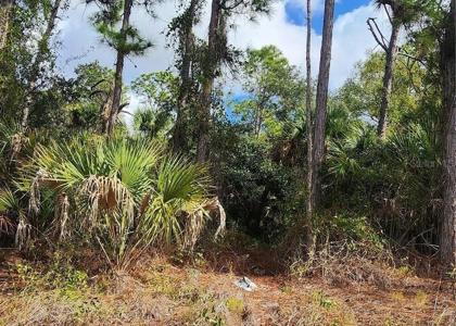 ANANAS ROAD