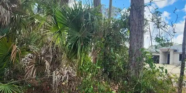Image 4 Image 4