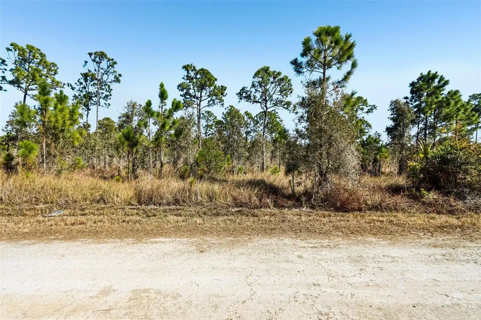 Image 1 Image 1