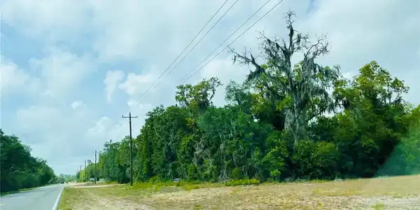 BEACH ROAD
