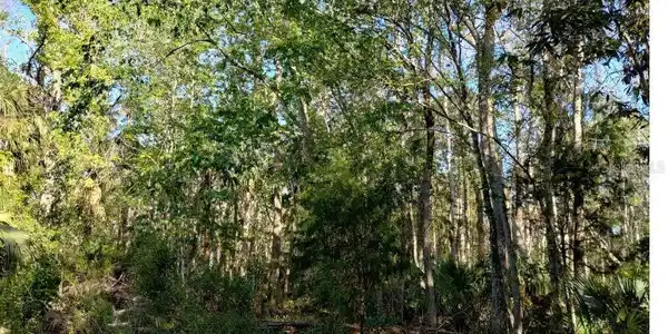 INDIAN BAY ROAD