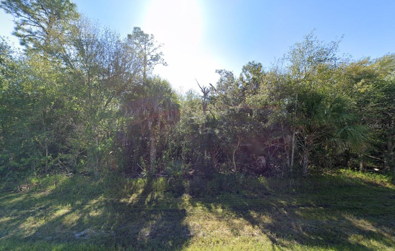 Image 3 Image 3