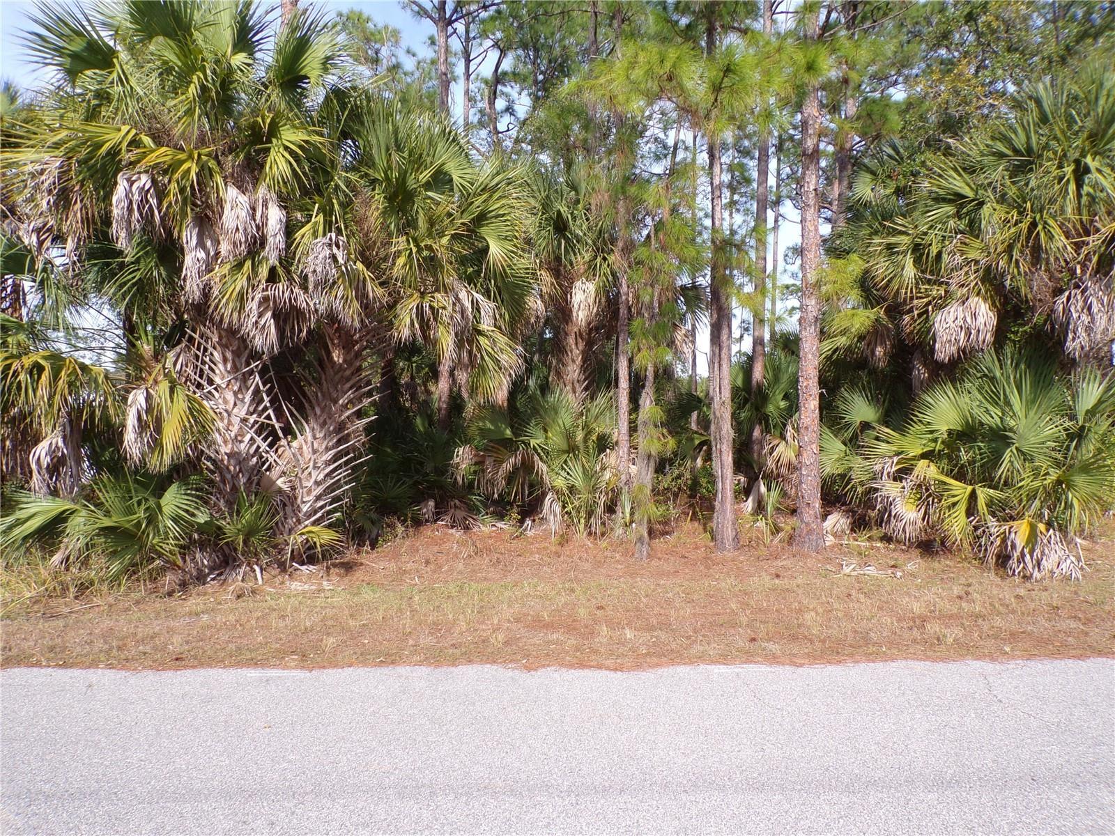 Image 1 Image 1