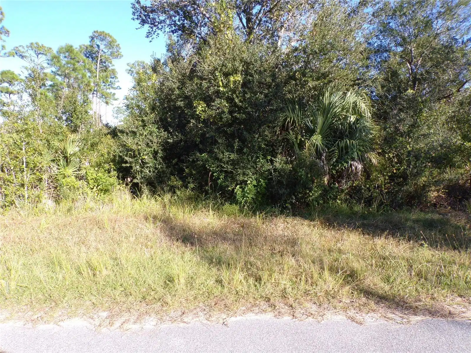 Image 1 Image 1