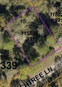 LOT 15 PEACHTREE LANE