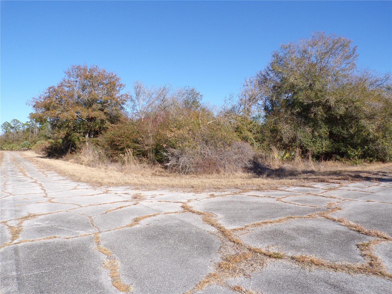 Image 1 Image 1
