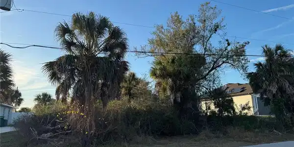 Image 4 Image 4