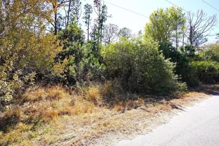 SEDBERRY AVENUE